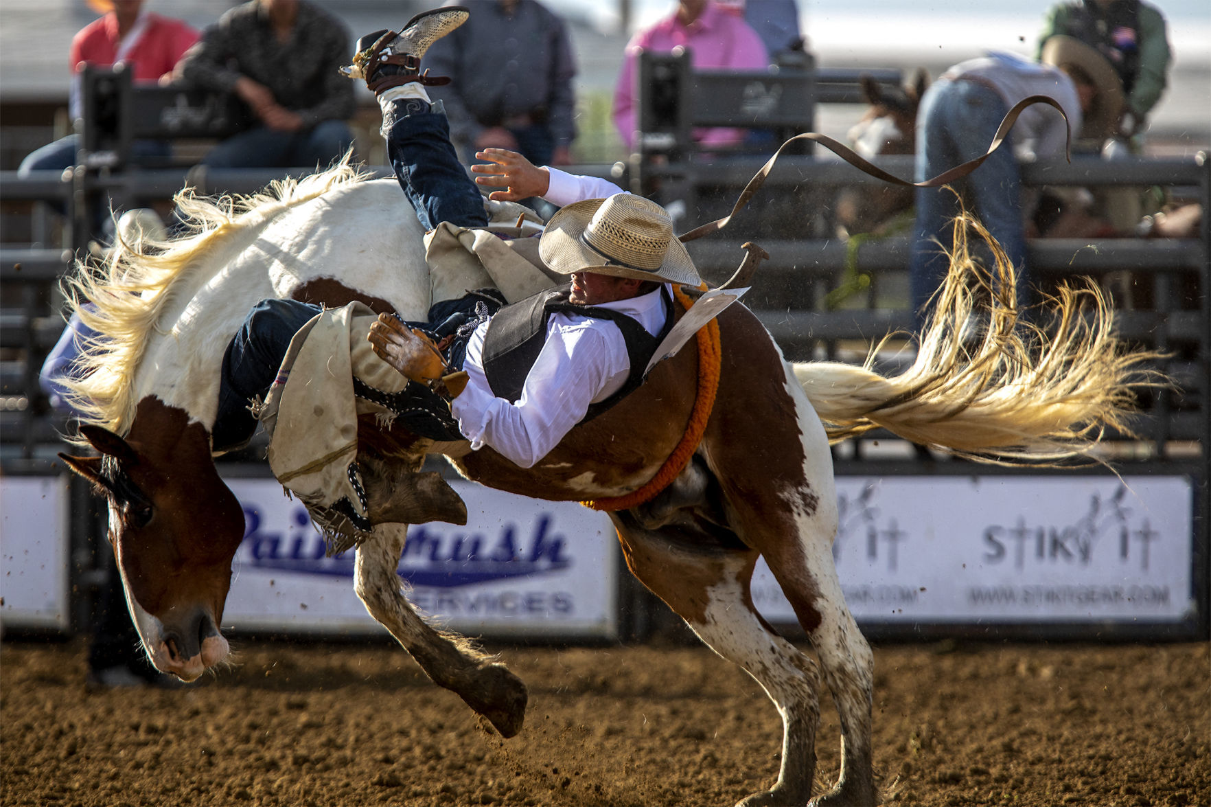 Rodeo gallery